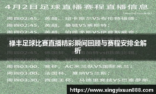 乐鱼电竞官网