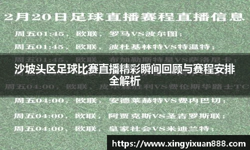 乐鱼电竞app下载