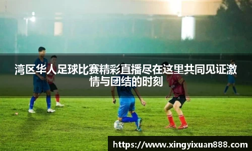 乐鱼电竞app下载
