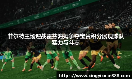 菲尔特主场迎战霍芬海姆争夺宝贵积分展现球队实力与斗志